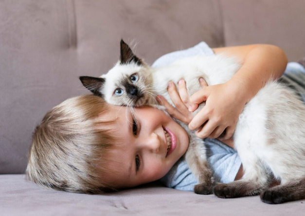 foster family for cats - PawrPose